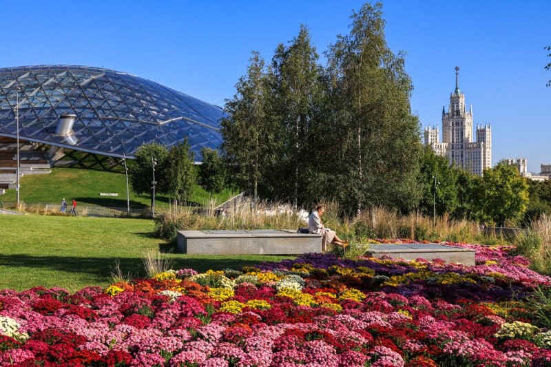 осень, Зарядье, хризантемы, Фото агентства «Москва»