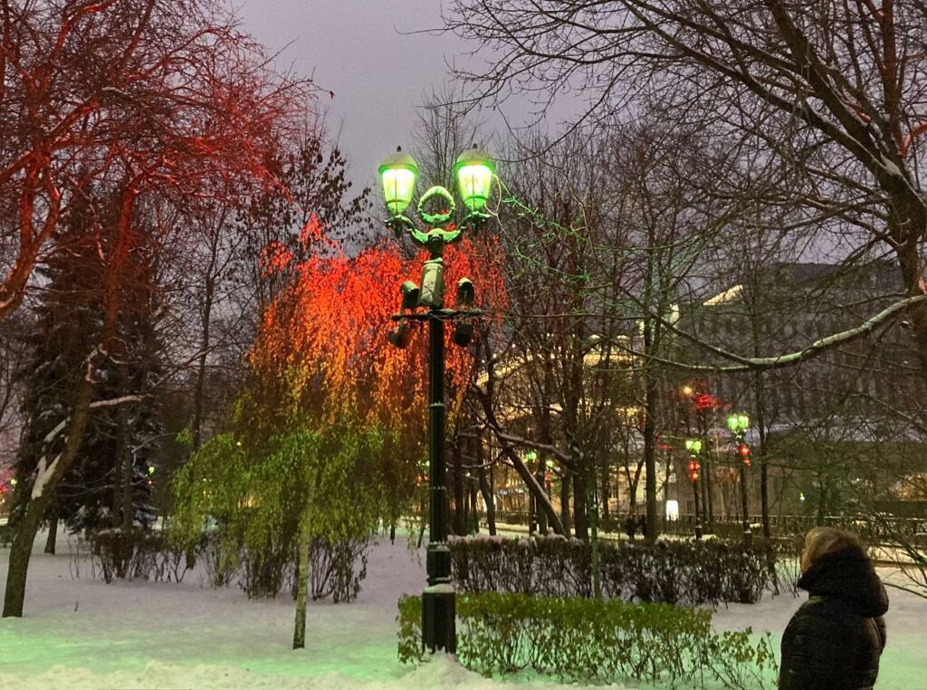 парк, зима, освещение, подсветка, Фото: Нина Донских