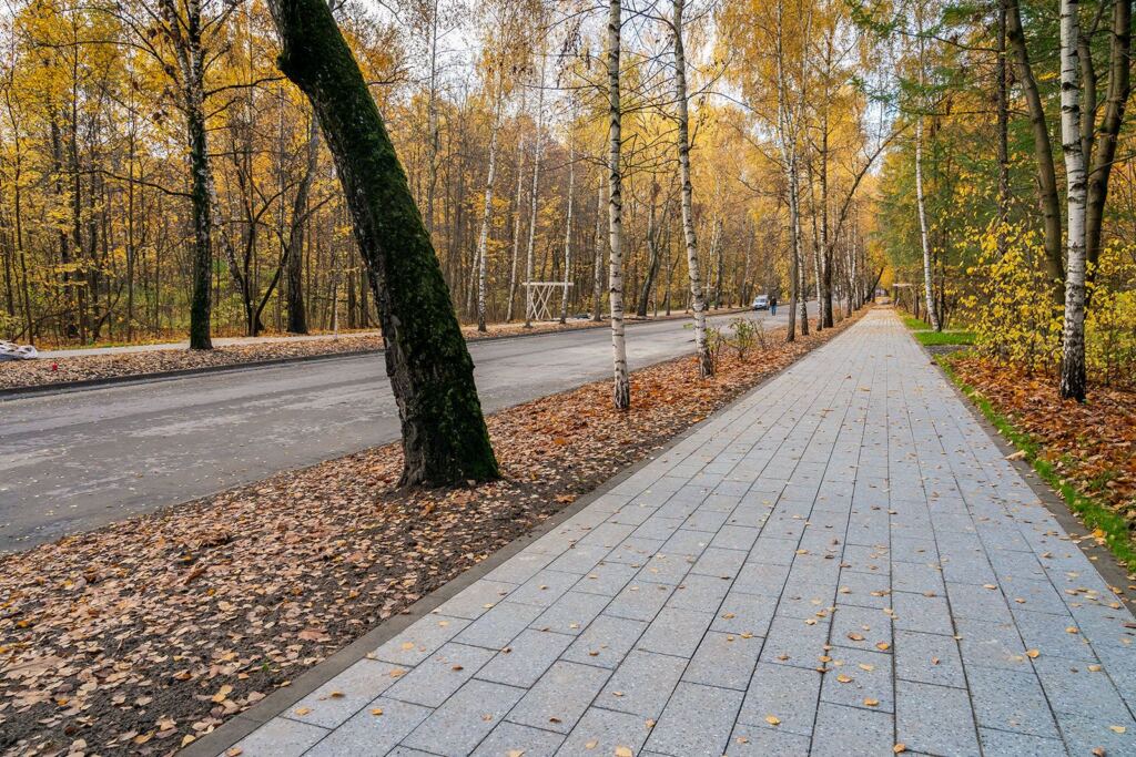 парк «Сокольники», осень, благоустройство, фото КГХ
