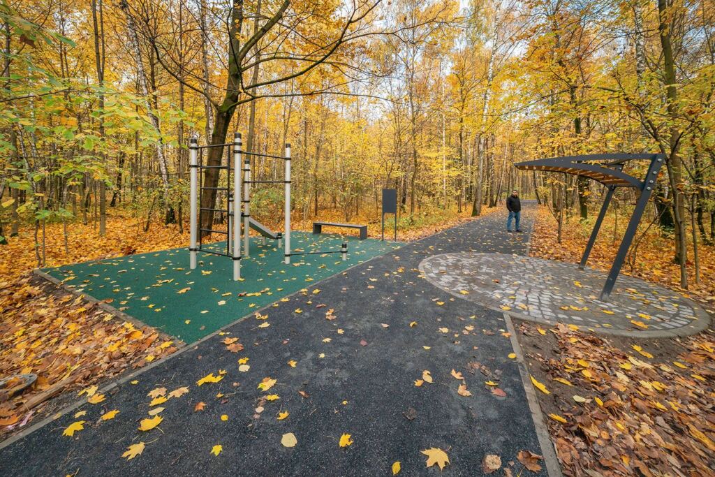 парк «Сокольники», осень, благоустройство, фото КГХ