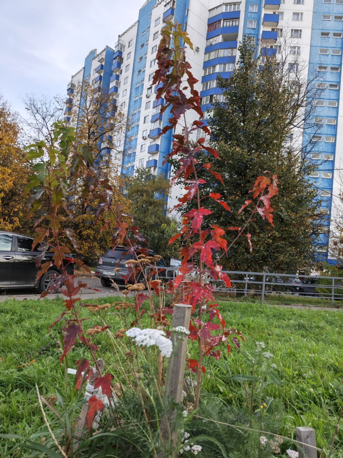 дом Москва осень погода Фото Надежды Ковалёвой