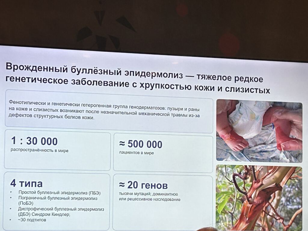 презентация