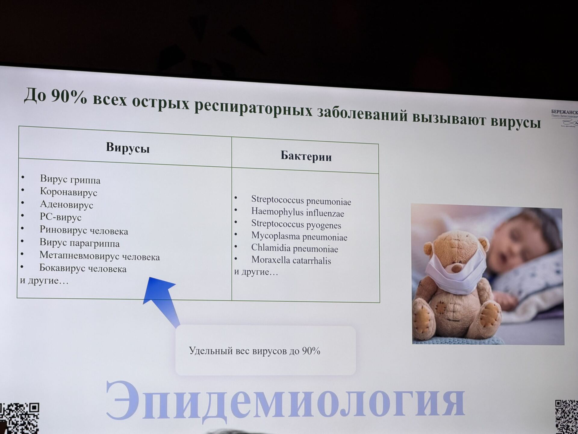 презентация, фото Мона Платонова