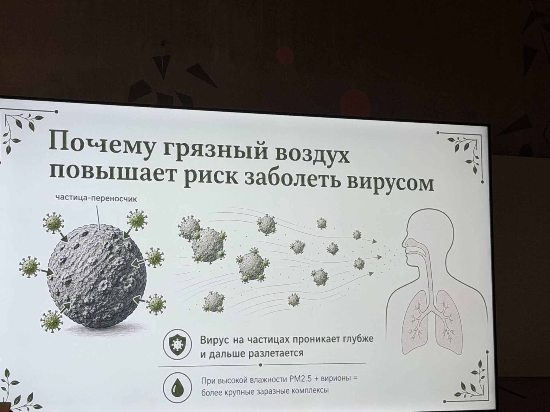 презентация, фото Мона Платонова