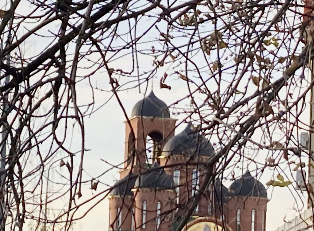 церковь, осень, дерево, фото Нина Донских