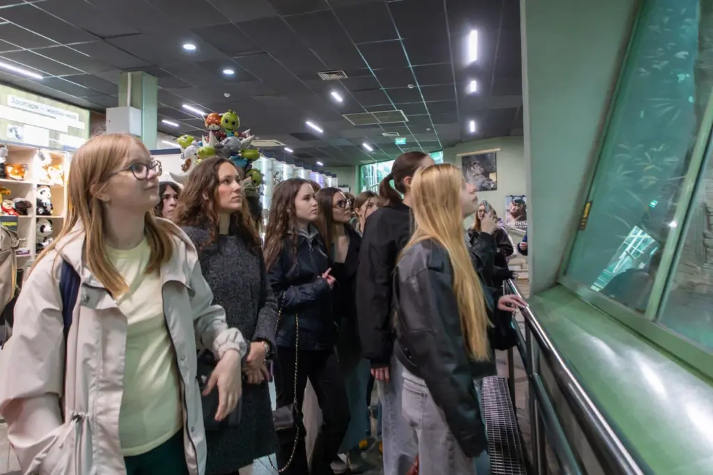 манул, зоопиар, Фото пресс-службы Департамента образования и науки города Москвы