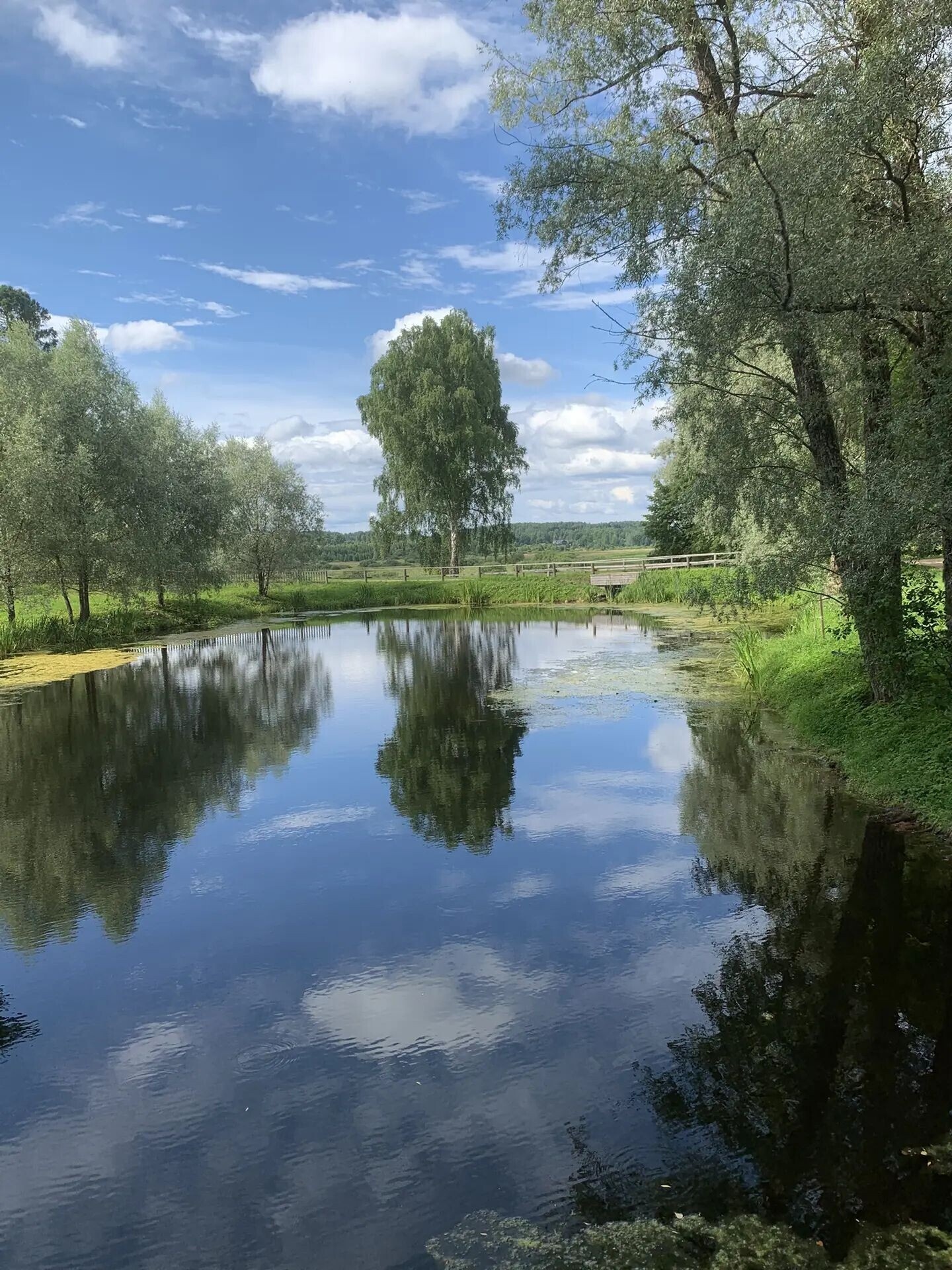 Михайловское Фото М. С. Томилиной