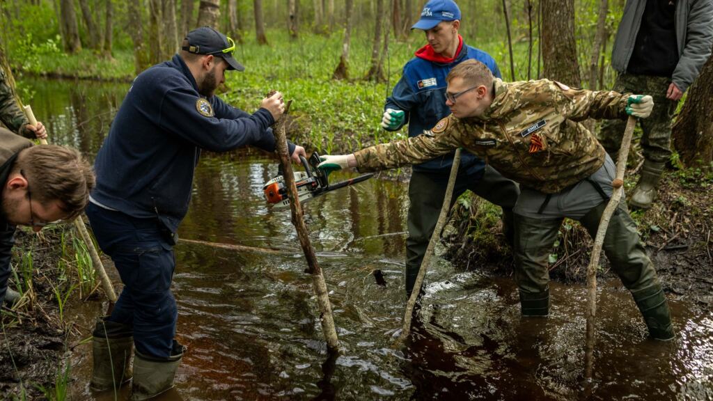 Себеж, осень, студенты, Фото пресс-службы «Команды Арктики»