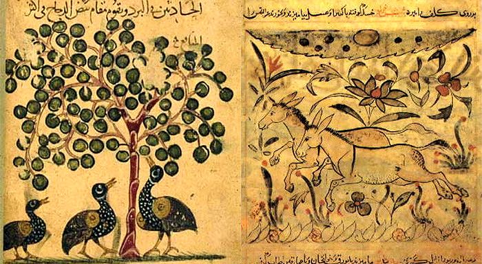 иллюстрация к книге о животных от Московкина