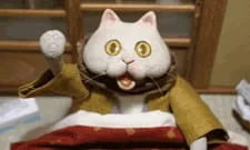 Котацунэко ONA