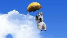 Я люблю небо