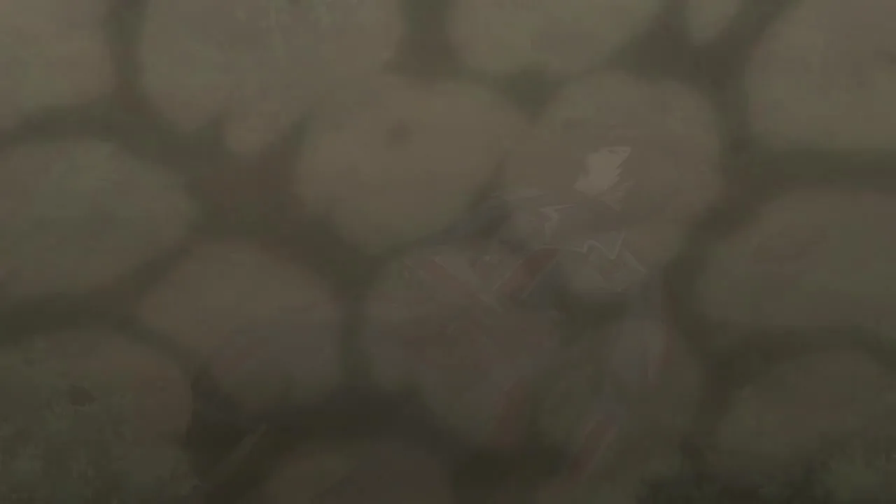Серия 2