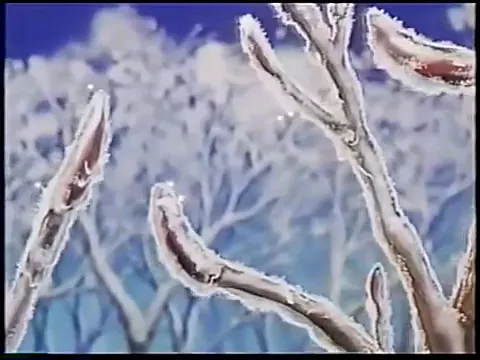 Прогулки по снегу