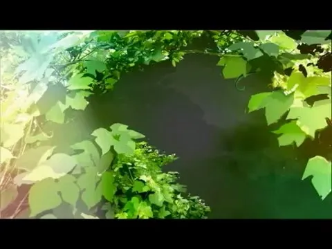 Хяку