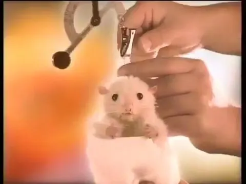 Хомяк Сэм