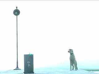 Небесный цвет, цветочный цвет