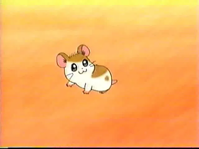 Tottoko Hamtarou: Anime Dechu!