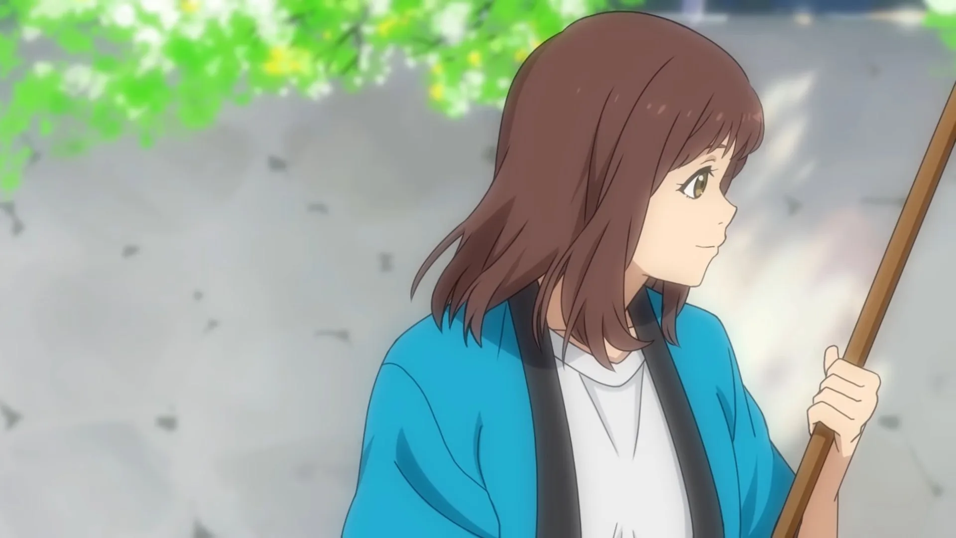 Gakitabi!: Seishun Oshiro-hen