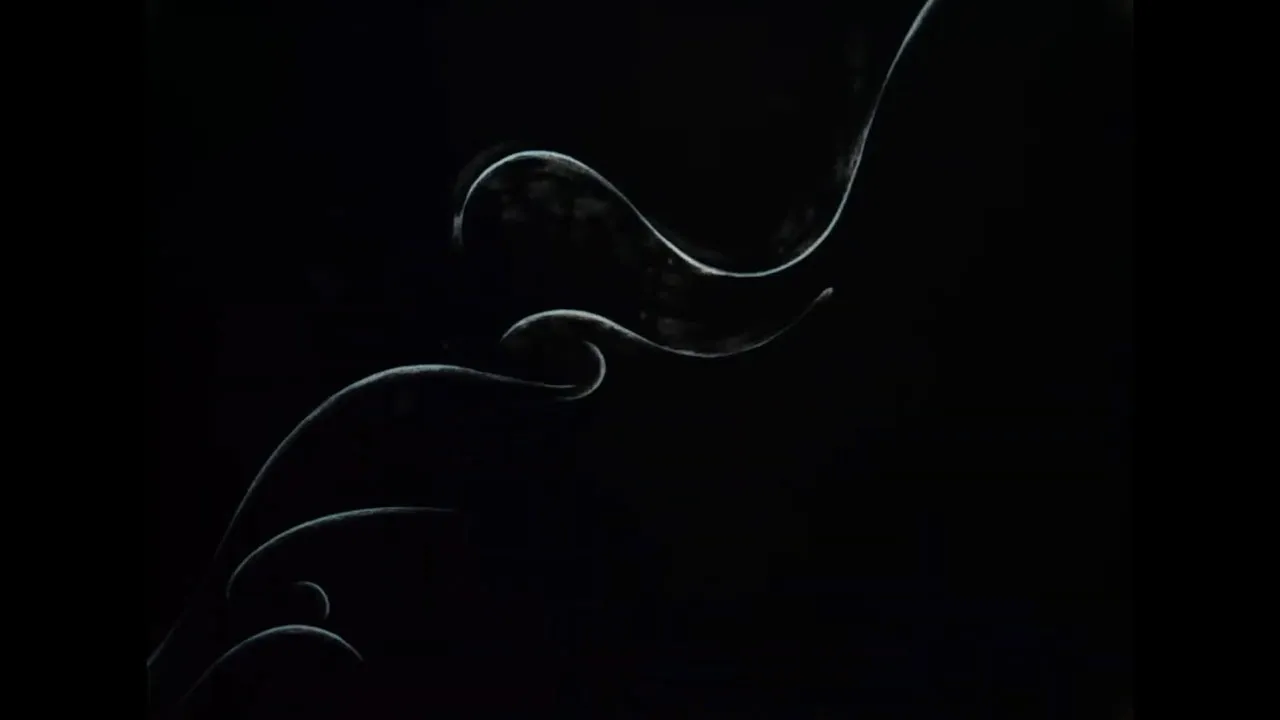 Ветер