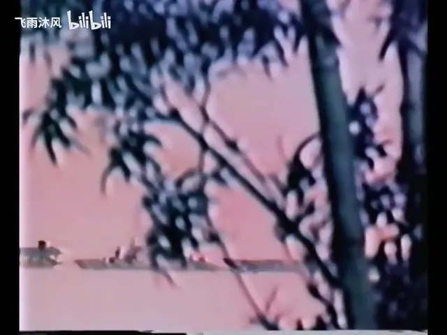 Побег бамбука, растущий в комнате