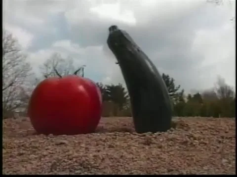 Вперёд, вперёд, овощи!