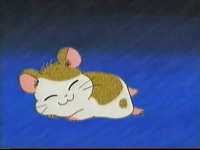 Tottoko Hamtarou: Anime Dechu!