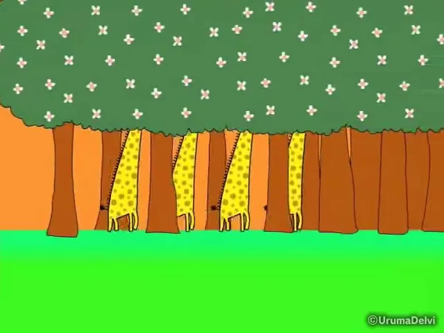 Марширующие жирафы