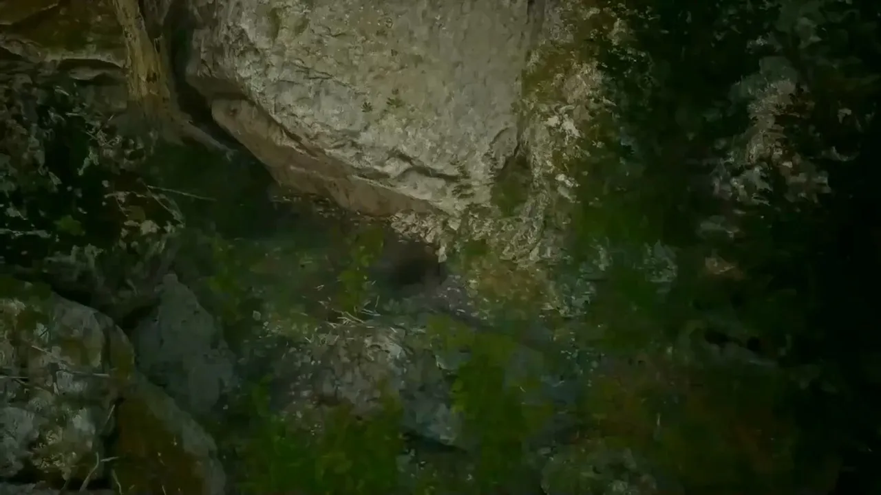 Тысячи границ судьбы