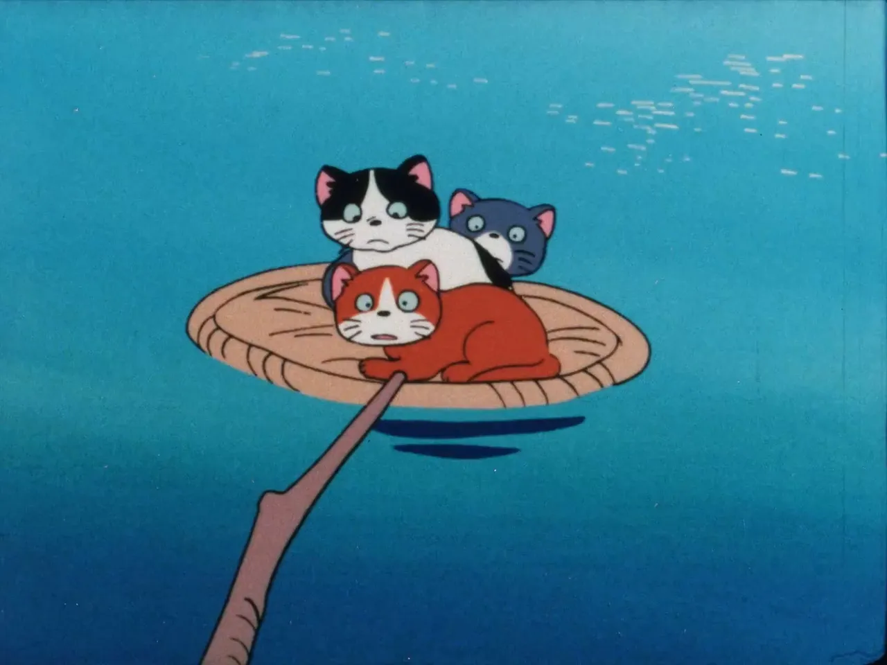 Морской котик