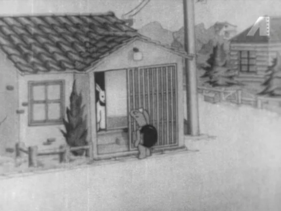 Жизнедеятельность животных