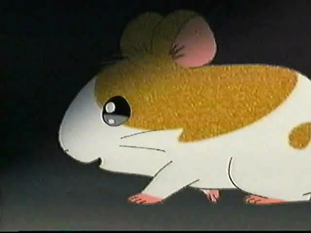 Tottoko Hamtarou: Anime Dechu!