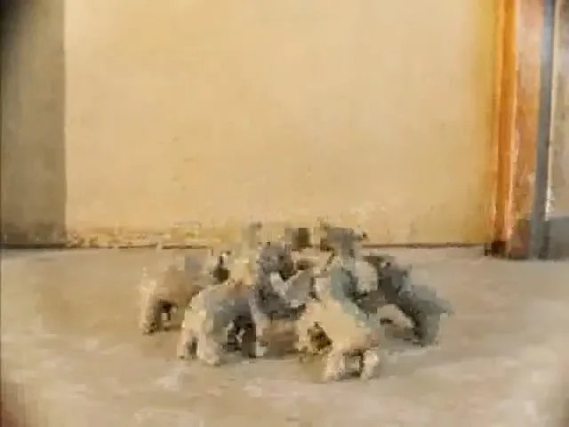 Опетта