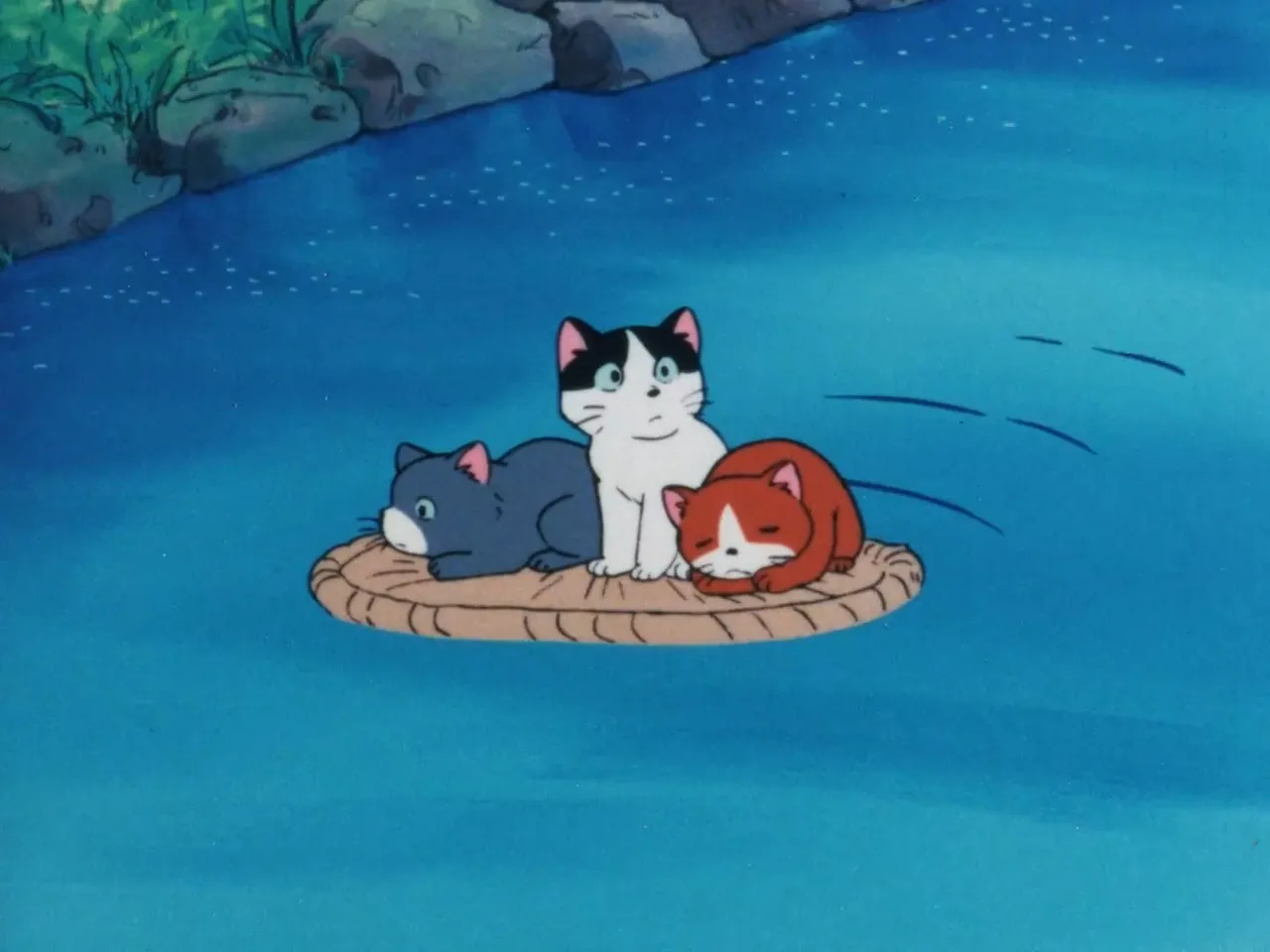 Морской котик