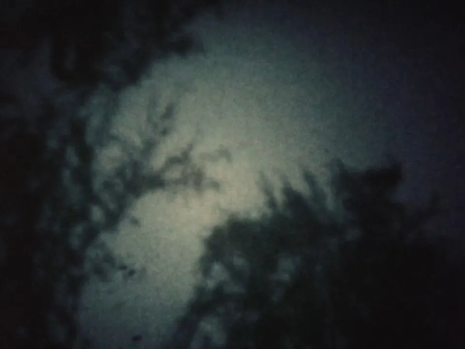 Дух рыбы, пронзающей дерево