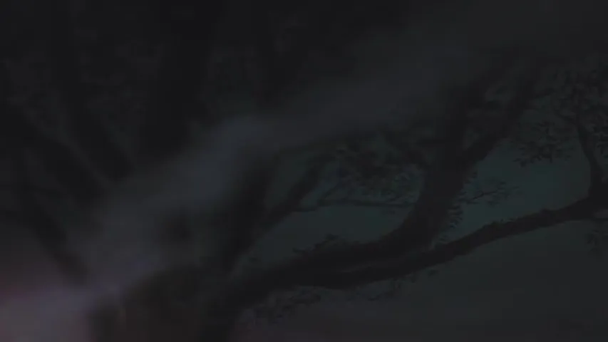 Ночь на Танэямагахаре