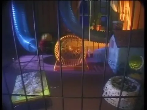 Хомяк Сэм