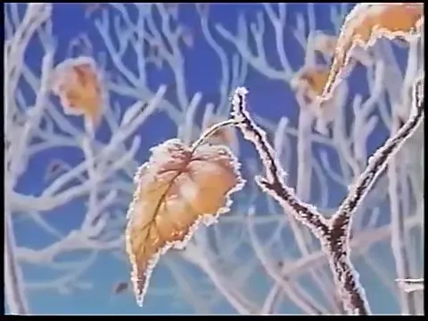 Прогулки по снегу