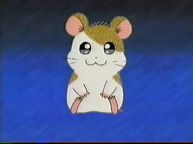 Tottoko Hamtarou: Anime Dechu!