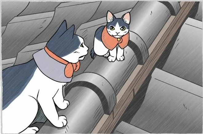 Безработные котики