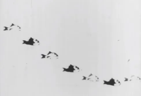 Подводный тиран
