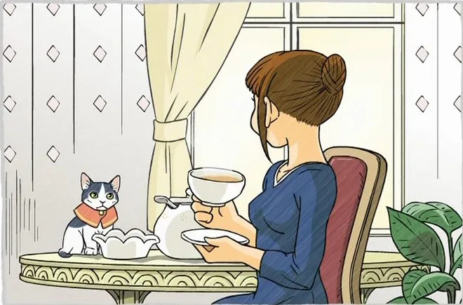 Безработные котики