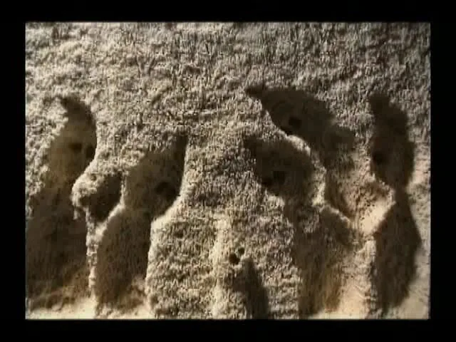 История Болоджи