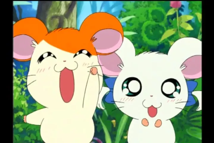 Tottoko Hamtarou wa Ham Ham Paradise! Kazu Katachi Chie