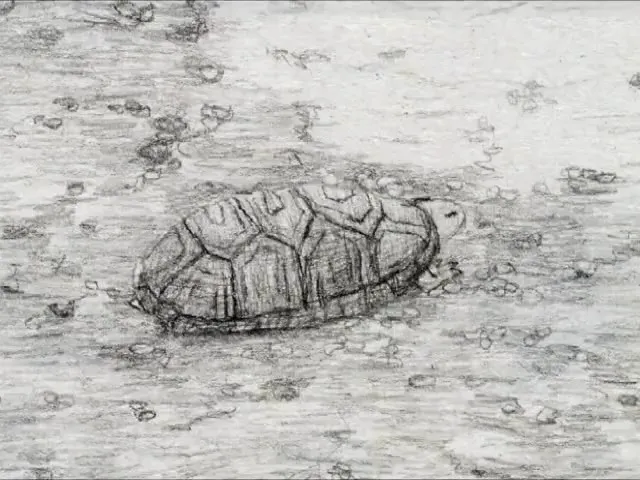 Жёлтый