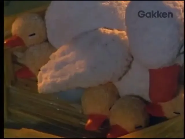 Гадкий утёнок