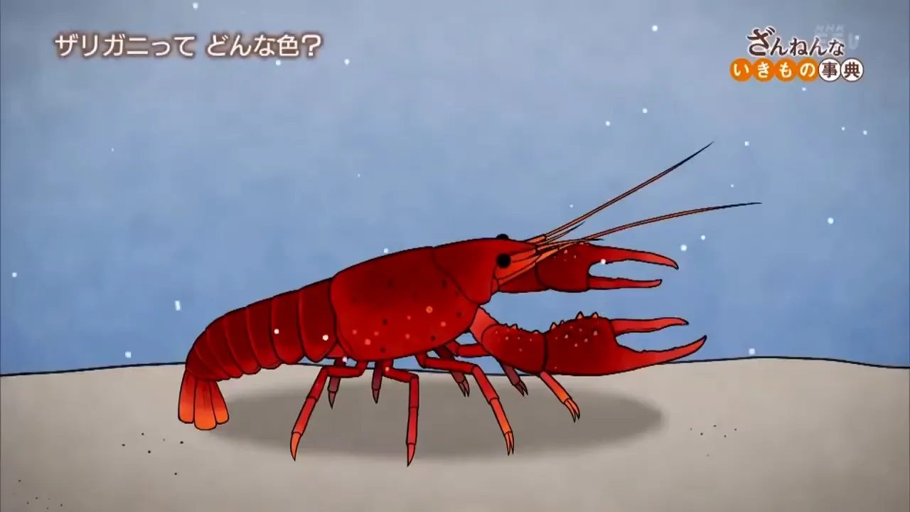 Энциклопедия жалких созданий 2