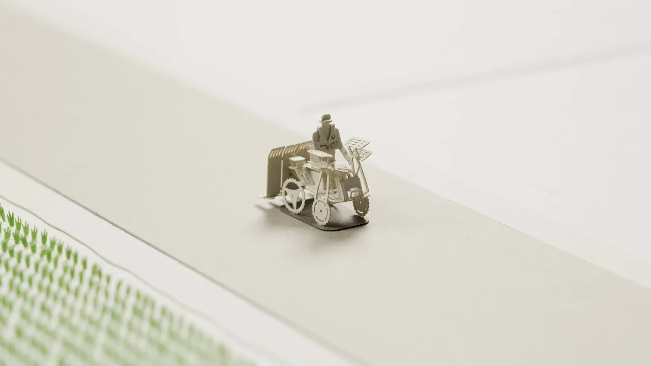 1/100 посадка риса