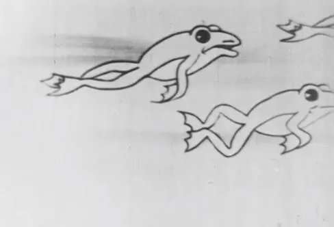 Солнце и лягушки