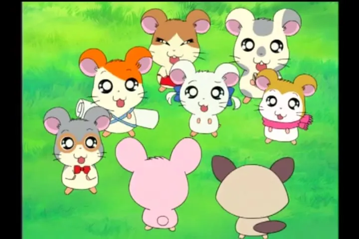 Tottoko Hamtarou wa Ham Ham Paradise! Kazu Katachi Chie
