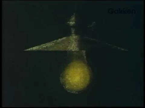 Лунный свет и очки